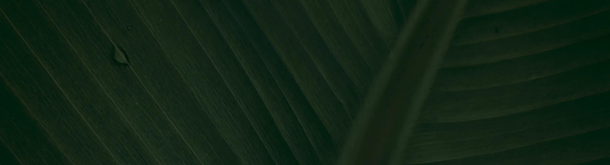 Tienda naturista con productos orgánicos y naturales en Santuario Natural.